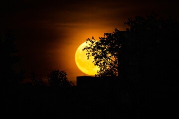 Photo of a big yellow full supermoon behind a tree and a building silhouette taken on June 14, 2022 in Prague, Czech Republic.