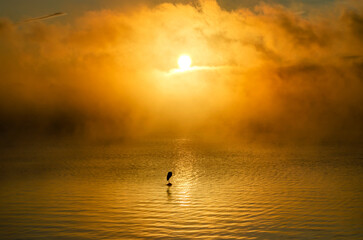 Fototapeta premium Nascer do sol BE-2022