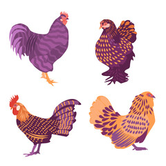 Set of different race of hens and rooster. hand drawn design. Vector illustration. limited color palette. Can be used for fabric design. 