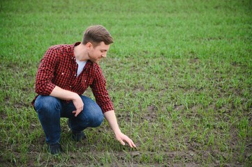 Young handsome farmer squatting in corn field in spring. Agribusiness and innovation concept