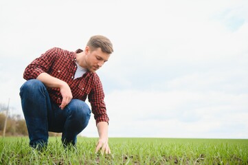 Fototapeta premium Young handsome farmer squatting in corn field in spring. Agribusiness and innovation concept