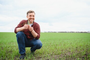 Naklejka na ściany i meble Young handsome farmer squatting in corn field in spring. Agribusiness and innovation concept