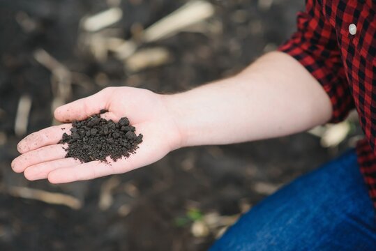 Soil in farmer arms. image with selective focus.