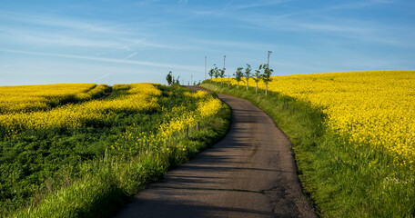 Fototapeta na wymiar South Moravia landscape and farmland in the spring