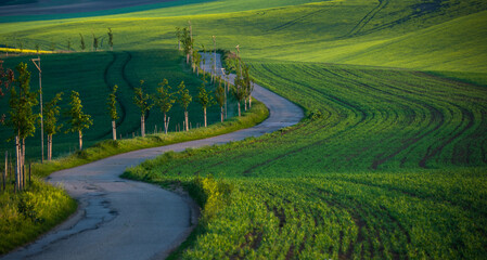 Typical road in South Moravia