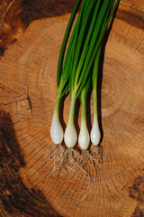 Green onion with root on a wooden saw cut tree