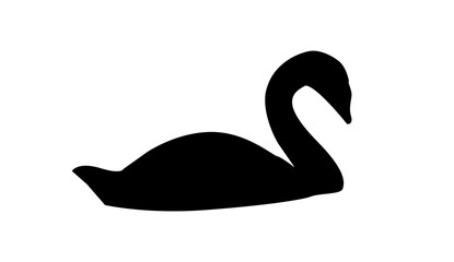 cisne
