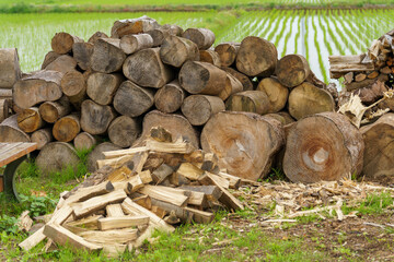 キャンプや冬に備えての薪割り作業