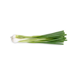 Green spring onion isolated on white background