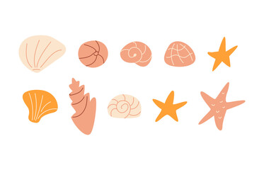 Set of cute ocean seashells and starfish. Vector illustration on isolated background. Underwater mollusk animals.