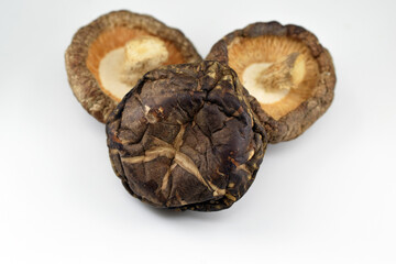 Dried shiitake mushrooms on a white background 