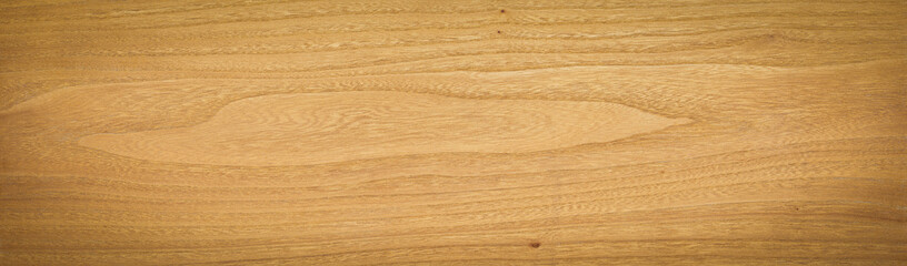 Extra long elm wood plank texture background. wood texture background