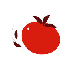  Red tomato,  hand drawn vegetable isolated on white background. Sketch doodle style vector collection.