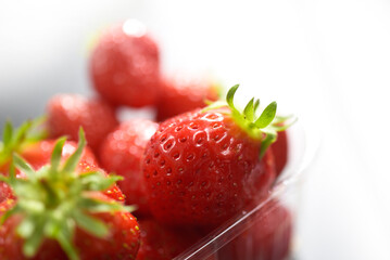 Barquette de fraises