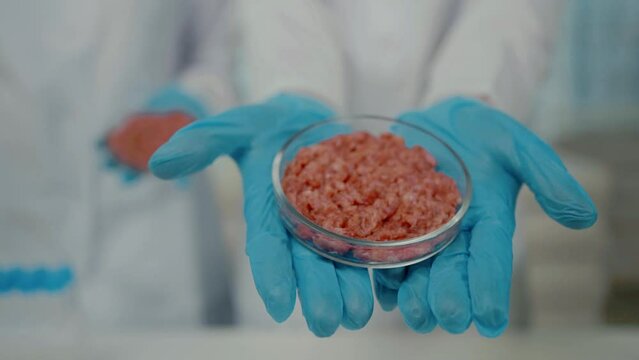 close-up selected focus petri dish artificial cultured meat