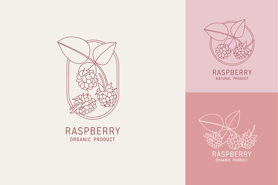 Vector illustration raspberries - vintage minimalist style. Logos set composition in retro botanical style.