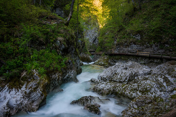 Spring in Vintgar Gorge in Slovenia