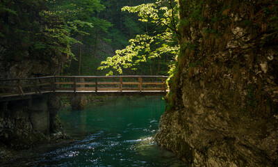 Spring in Vintgar Gorge in Slovenia