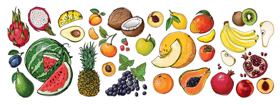 Food vector Exotic fruits, orange, lemon, apple, berries
