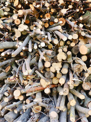 Firewood background. Hardwood material. Abstract pattern