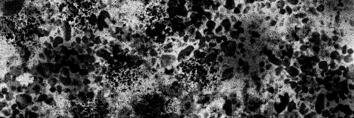Bacteria Cell in air on white backdrop