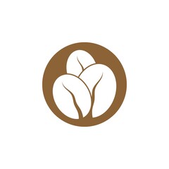 coffee bean icon vector