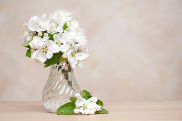 Vase with white flowers of an apple tree on a table against a wall.