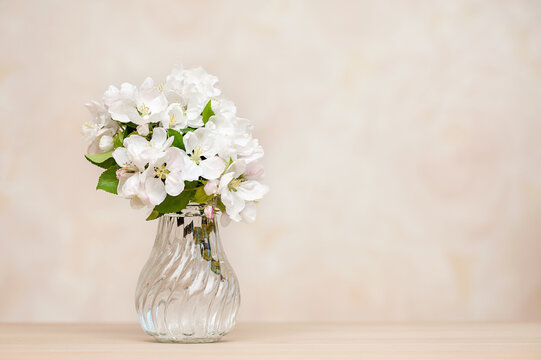White Flowers In Vase Neutral Background Images – Browse 2,749 Stock  Photos, Vectors, and Video | Adobe Stock