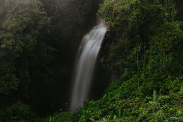 Fototapeta premium Waterfall