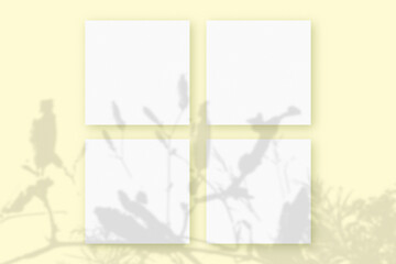 Natural light casts shadows from wildflowers on 4 square sheets of white textured paper lying on a yellow textured background. Mockup. Natural light casts shadows from a branch of wildflowers