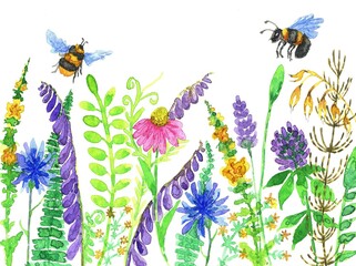 Summer postcard. Bright watercolor meadow blooming flowers and flying bees and bumblebees on a white background.Floral ornament.Botanical watercolor