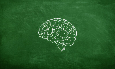 Brain flat sketch on chalkboard