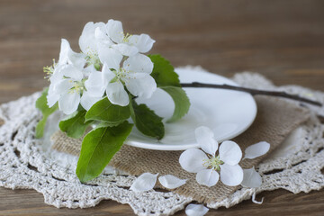 Fototapeta na wymiar White flowering branch of an apple tree on a white saucer with a tablecloth