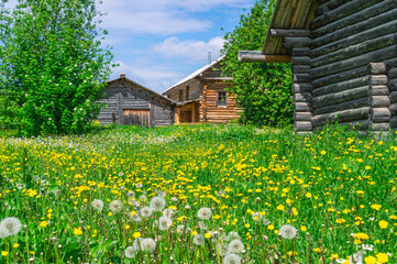 An old house in the village made of dark logs with a wooden roof. Summer flowers in front of the house in the countryside. Wooden old manor house of the 19th century. The scented air in the village.
