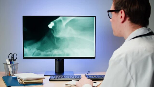 Doctor veterinarian examining cat or dog skeleton roentgen on computer monitor. Nurse man vet analyzing animal bones x-ray close-up. 
