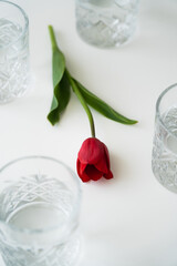 high angle view of red tulip with green leaves near glasses with water on white tabletop.