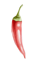 red hot chili pepper