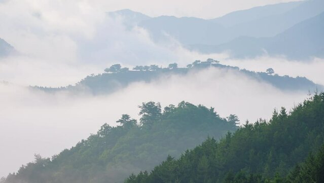 Intense morning fog swirls around Takeda Castle ruins on mountaintop
