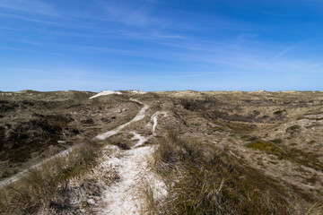 coastal sand path with dunes