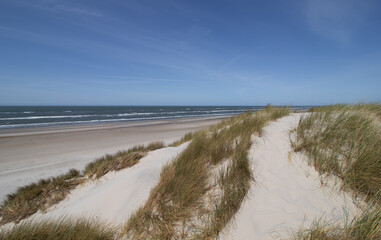 beach and dunes