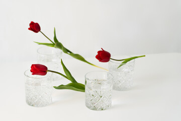 red tulips near faceted glasses with clean water on white background.