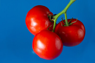 Fresh tomato. Tomato isolated on blue background