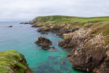Fototapeta na wymiar Saltee islands in June, Ireland.
