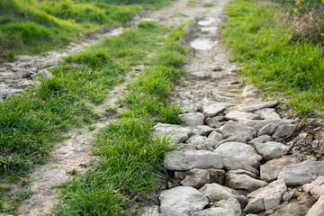 Obraz premium dirt road, stones, grass, puddles