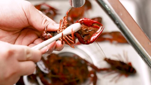 Cleaning and washing crayfish video