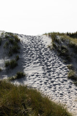 Sandpfad durch die Dünen