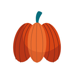 autumn season pumpkin fruit