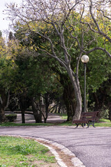 Walkway in a spring park with a wooden bench and a lamppost