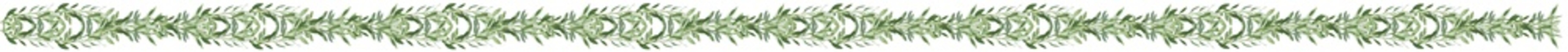 Guirlande végétale, feuilles et rameaux d’olivier