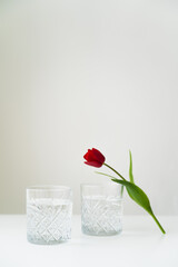 facetted glasses with water near red tulip with green leaves isolated on grey with copy space.